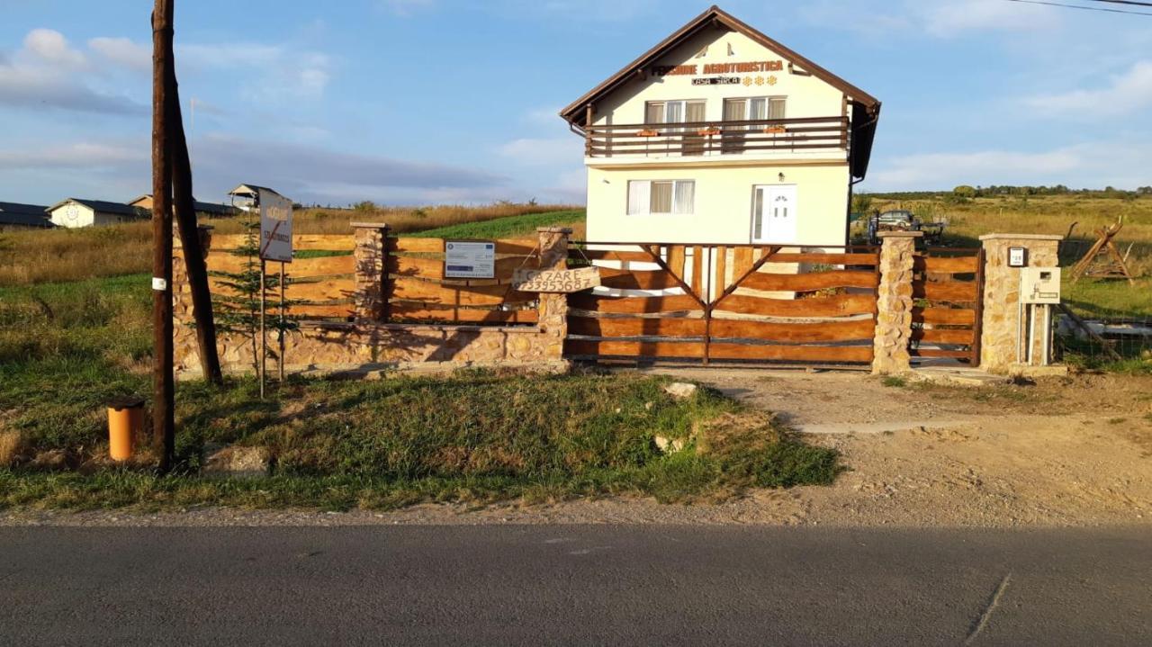Pensiunea agroturistica Casa Sirca Boghiş Esterno foto
