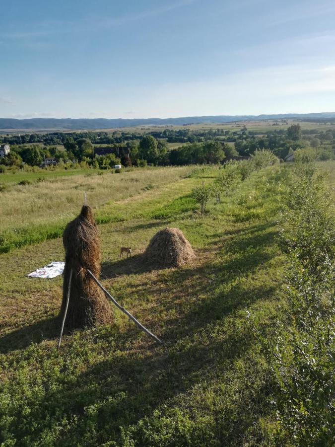 Pensiunea agroturistica Casa Sirca Boghiş Esterno foto