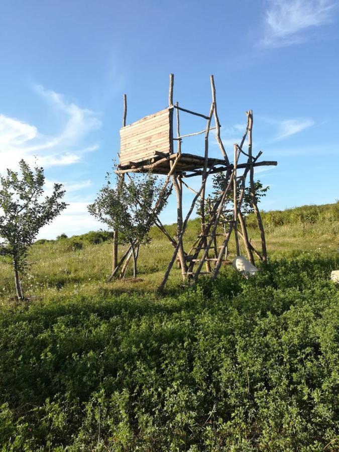 Pensiunea agroturistica Casa Sirca Boghiş Esterno foto