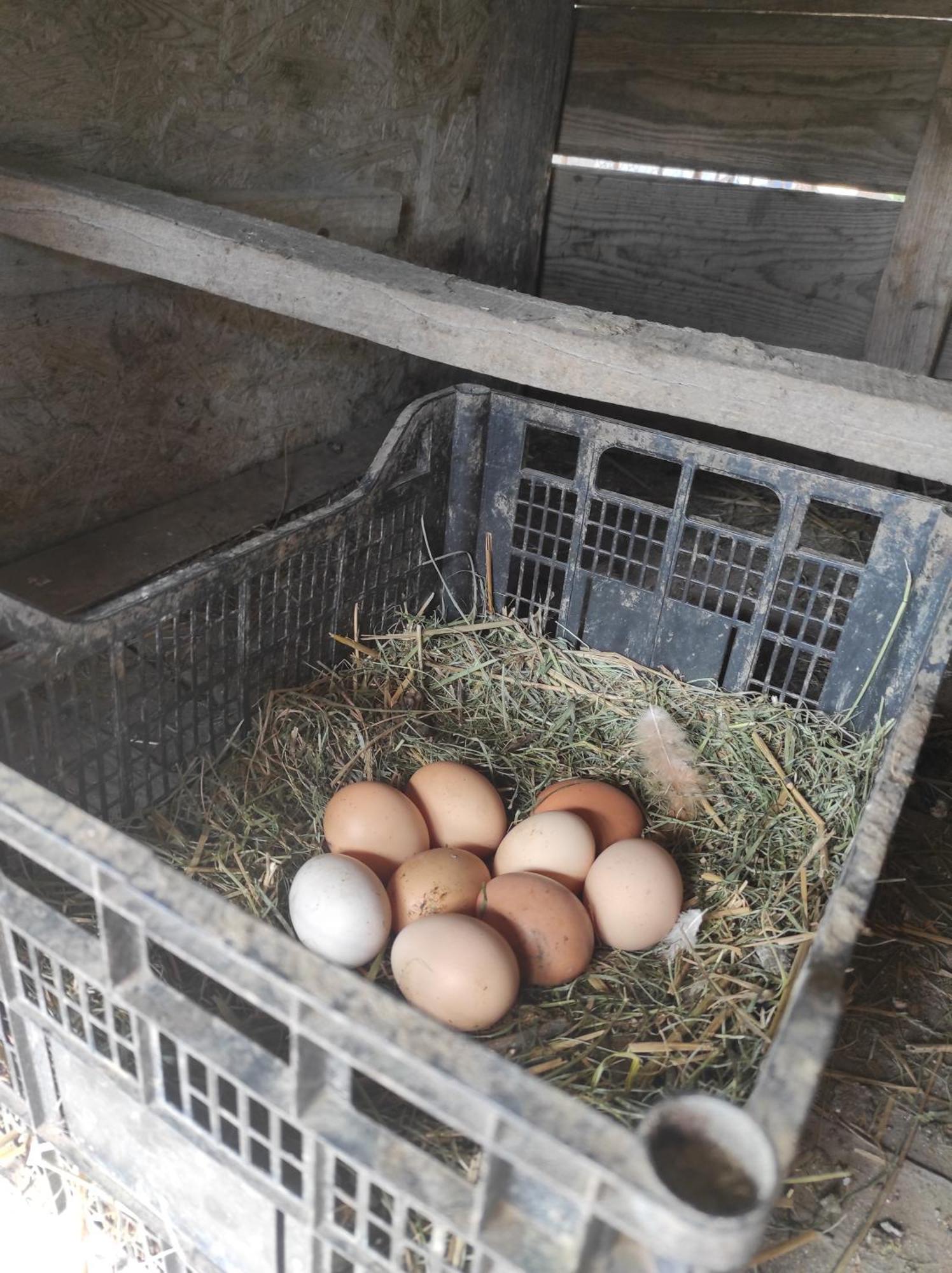 Pensiunea agroturistica Casa Sirca Boghiş Esterno foto