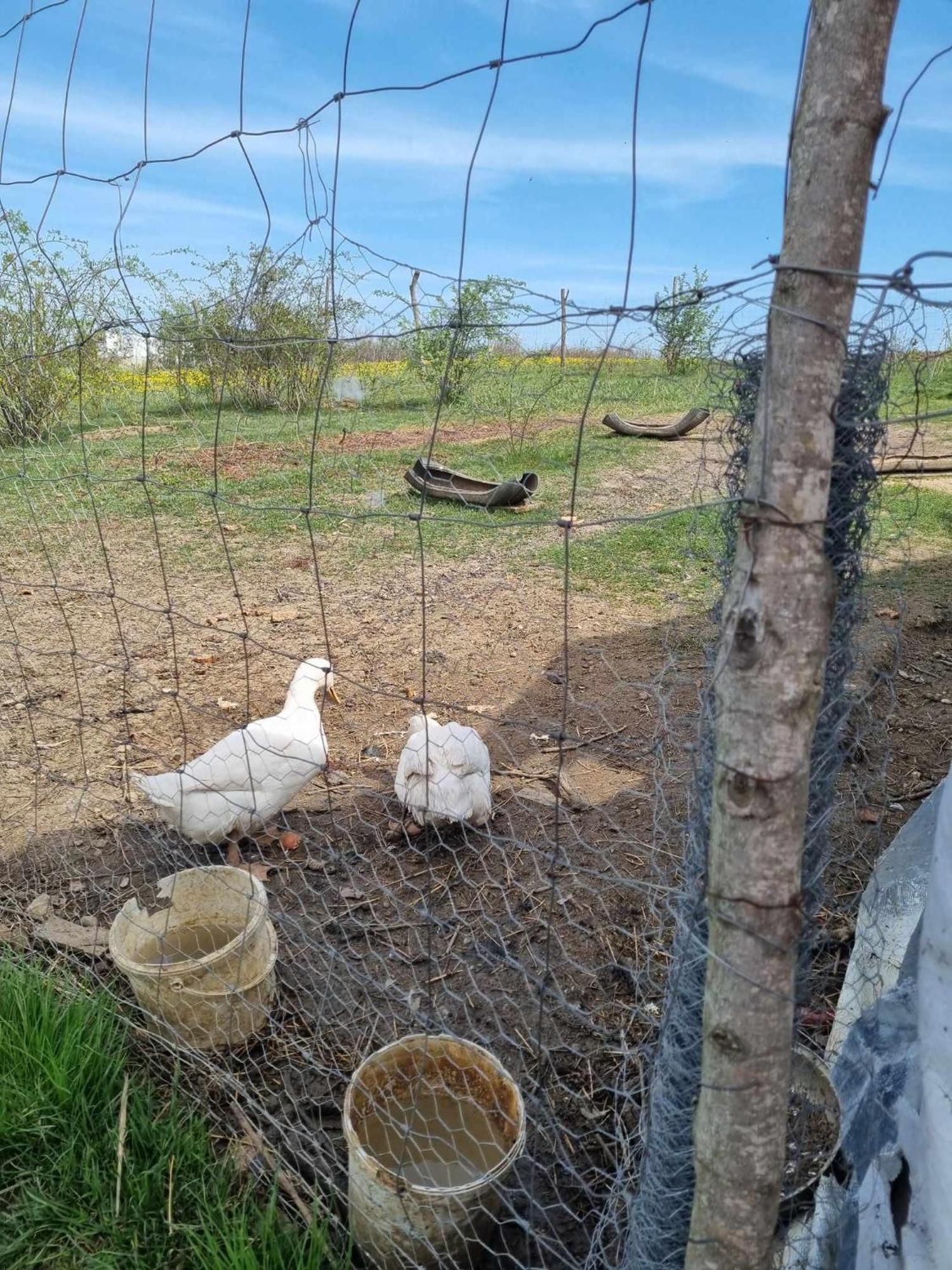 Pensiunea agroturistica Casa Sirca Boghiş Esterno foto
